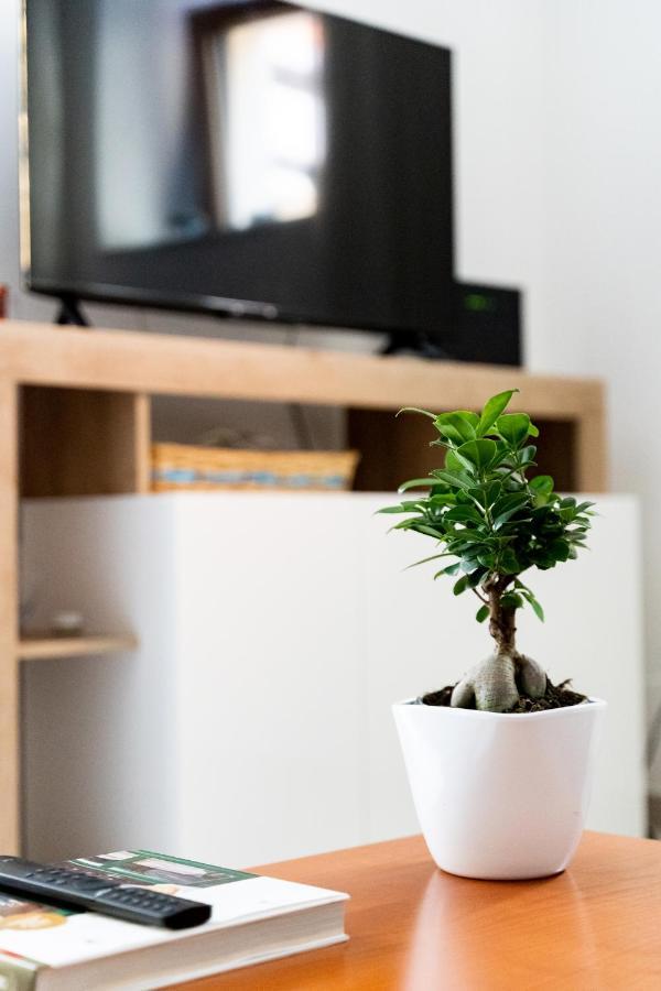 Spacious 3-Bedroom Apartment With Courtyard In Tempio Pausania - Perfect For Families Ngoại thất bức ảnh